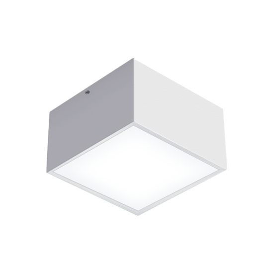 Uno-Surface mounted downlight